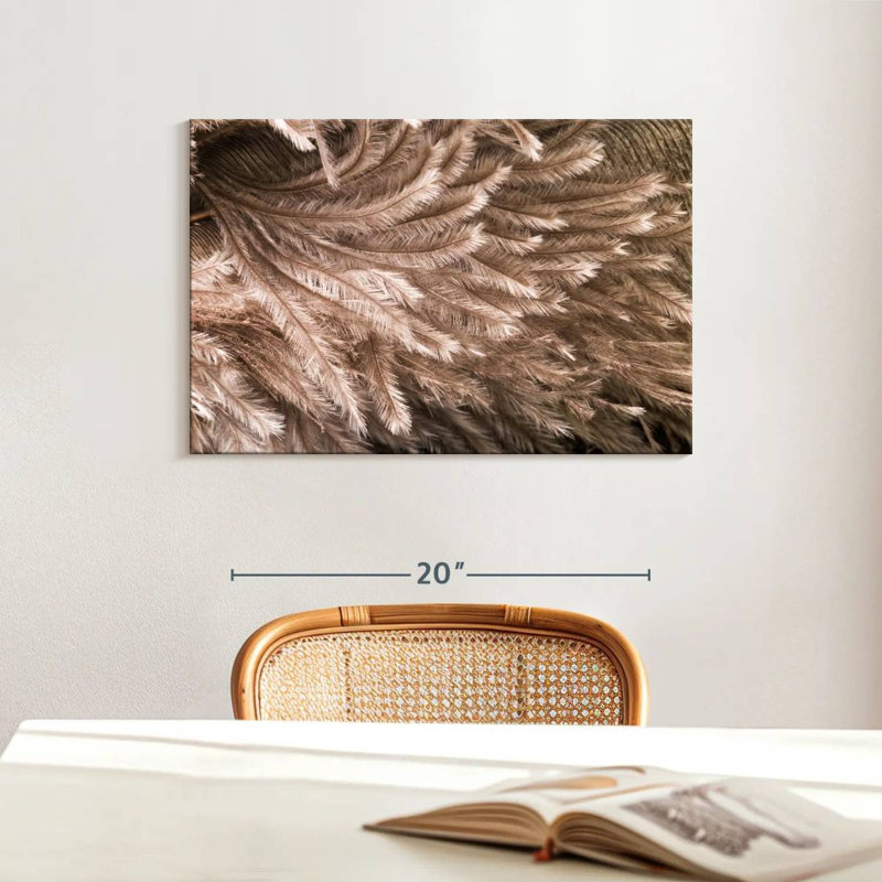 Brampt Ostrich Feathers, 16" H x 24" W