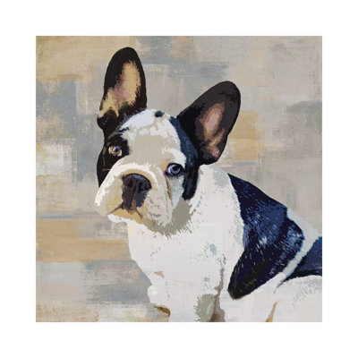 French Bulldog by Keri Rodgers - Wrapped Canvas Print