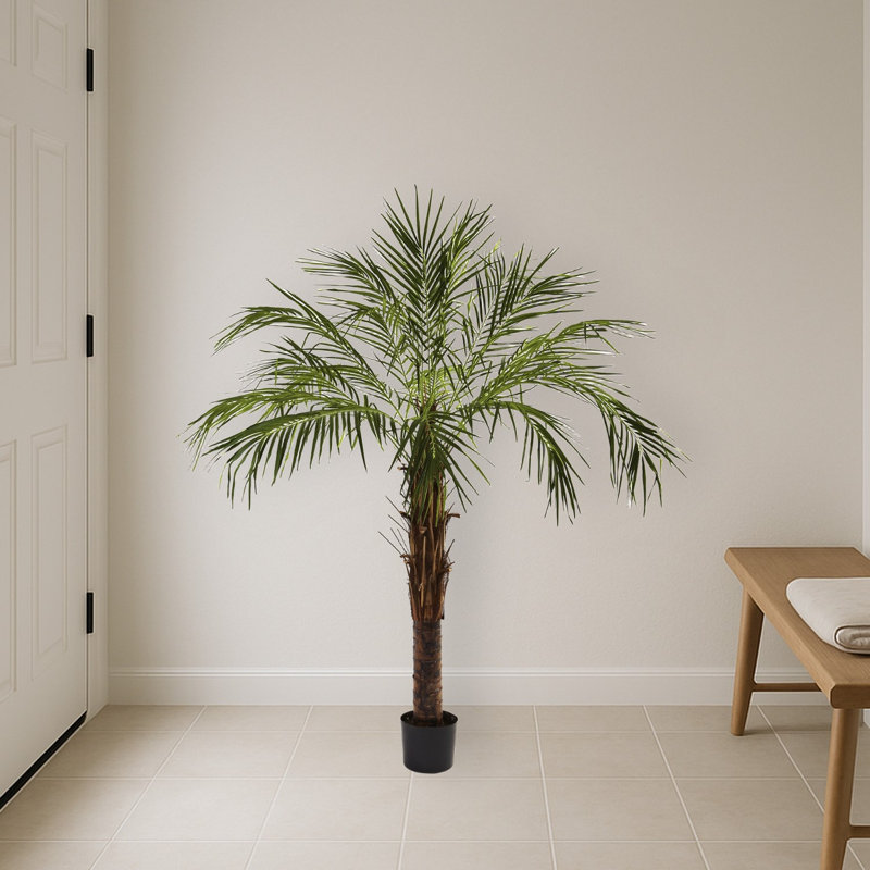 Robellini Artificial Palm Tree