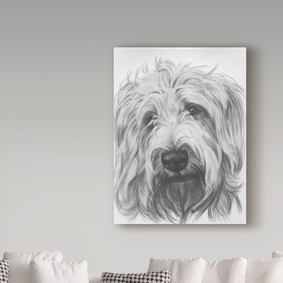 Adelphi 'Labradoodle' Vintage Advertisement on Wrapped Canvas
