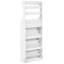 12 Pair Shoe Storage Cabinet