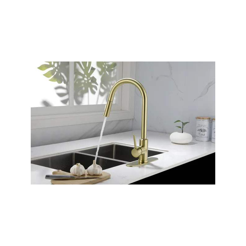 Robinet de cuisine avec douchette extractible