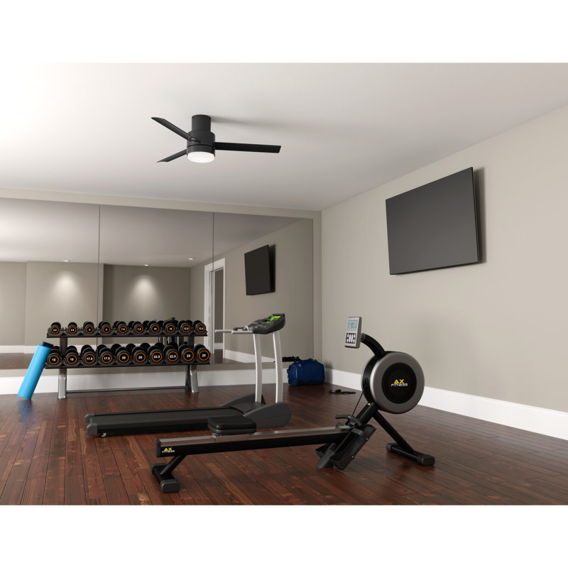 Gilmour 52" 3 - Blade Flush Mount Outdoor Ceiling Fan with Pull Chains and Light, Matte Black