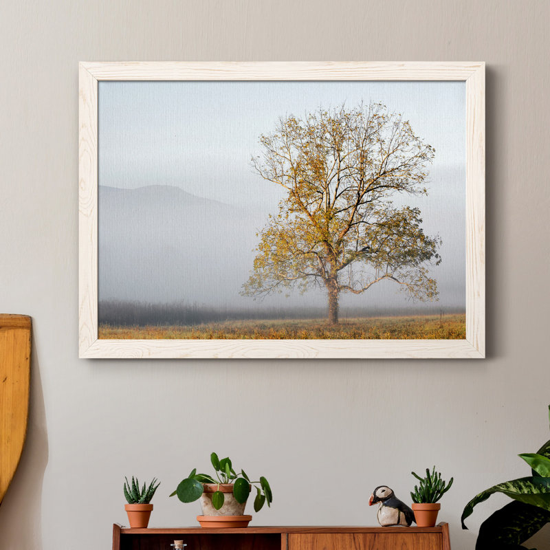 Cades Cove - Impression sur toile, Blanc, H 37,5 po x l 27,5 po x P 1,5 po