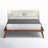 Fiora Upholstered Platform Bed-89099653