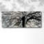 «Story From Light and Shadow», toile tendue-2108724232