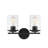 Ambroz 2-Light Dimmable Vanity Light in Matte Black-555498480