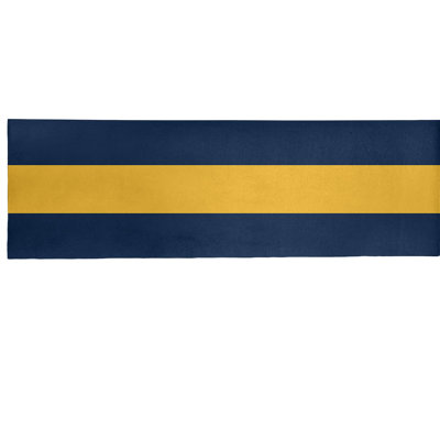 Tapis bleu à rayures NHS National Hockey