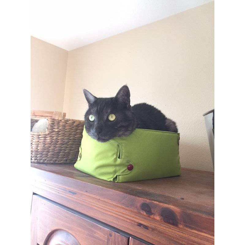 Lit pour chat Designer, Vert lime / Rouge