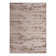 Brown Cartago Indoor/Outdoor Modern Rug