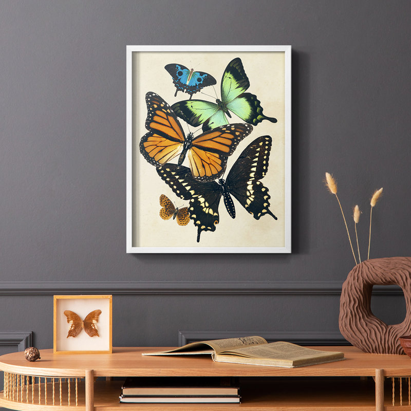 «Collage Butterflies I», reproduction encadrée - bois massif, Blanc, H 20 po x l 16 po