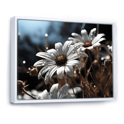 «Daisies Field Sunrise III», reproduction sur toile