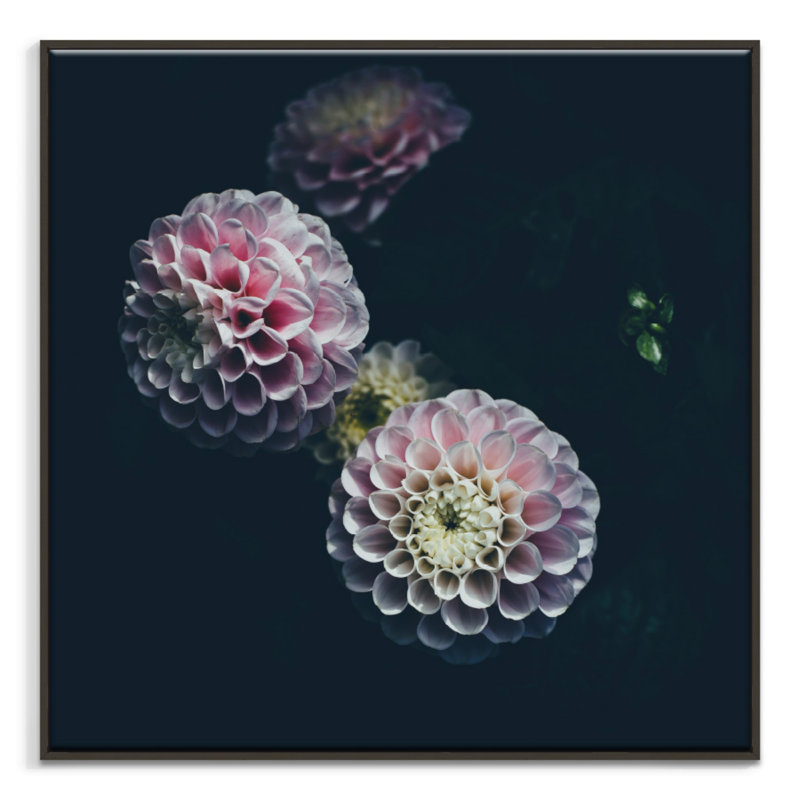 Print on Canvas, Wrapped Canvas, 102cm H x 102cm W