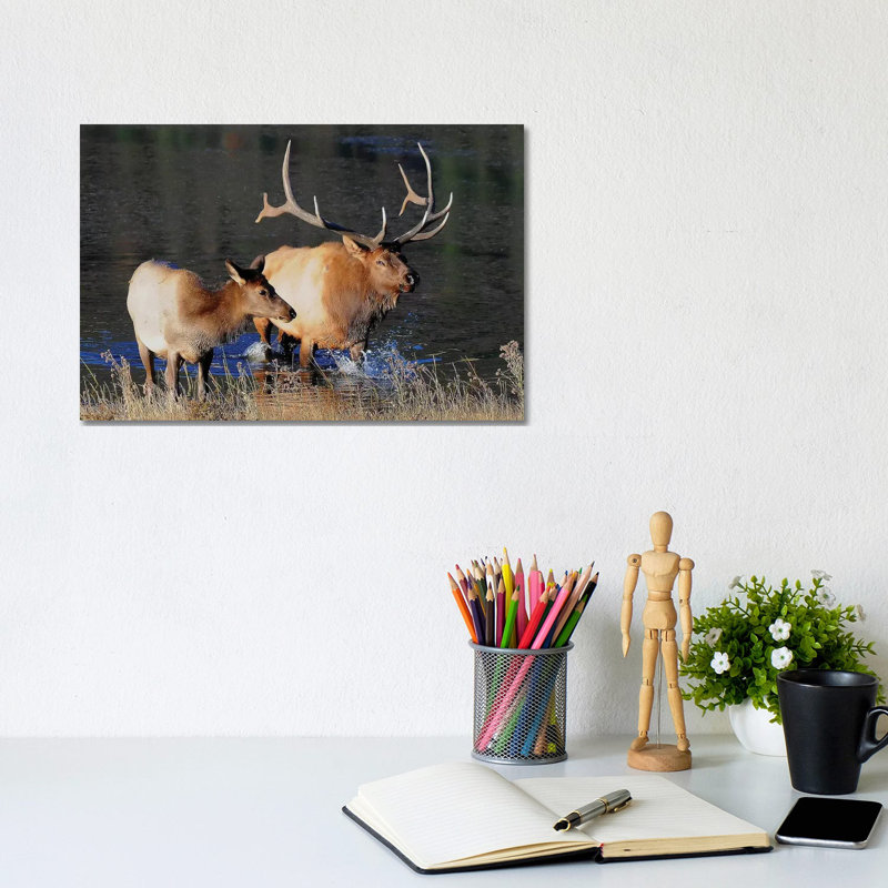 Bull And Cow by Brian Wolf - Wrapped Canvas Gallery-Wrapped Canvas Giclée, 20.32cm H x 30.48cm W
