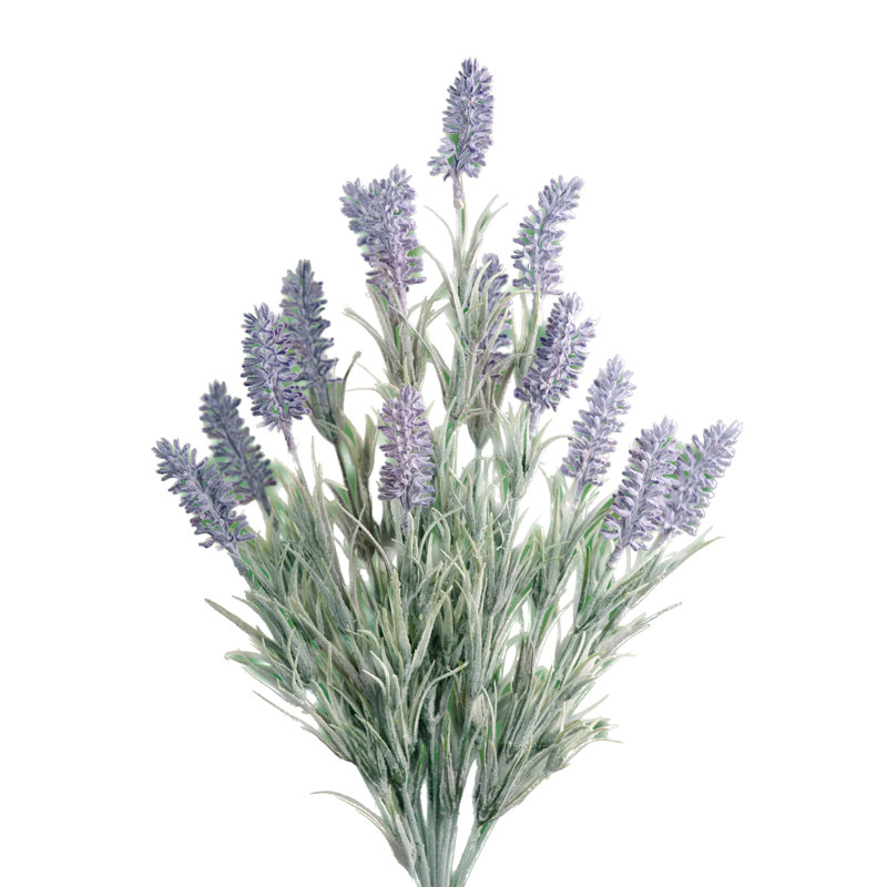 Mauve Lavender