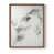 Noyer