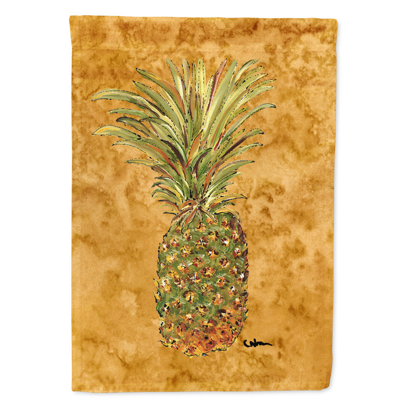 Drapeau de maison en polyester 40 po x 28 po Canaday