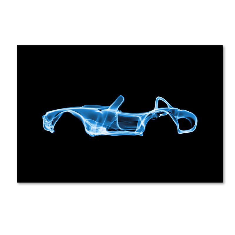 Magar Magar «Shelby Cobra», impression sur toile tendue, H 12 po x l 19 po