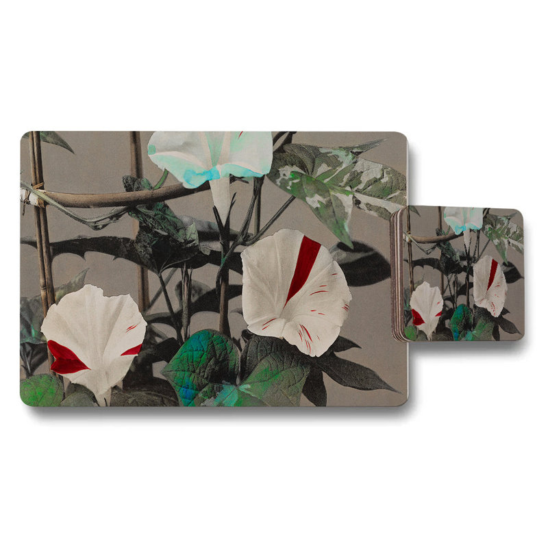 Butterfly Pattern Placemats And Coaster Set With Multicolor Designs