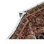 Sona Wool Oriental Area Rug