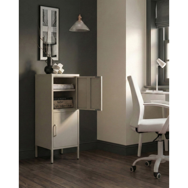 2 -Door 4 -Shelf Storage Cabinet
