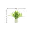 Riey Faux Grass in Fiberstone Pot