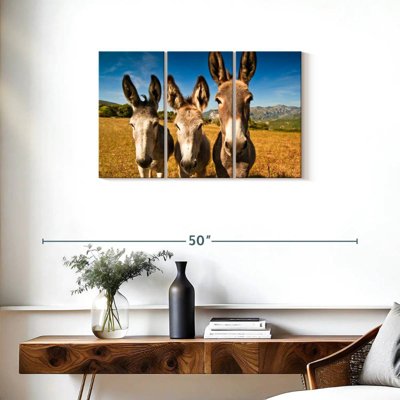 Brampt Donkey Trio, H 20 po x l 33 po