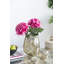 Tige chrysanthemum-22214106