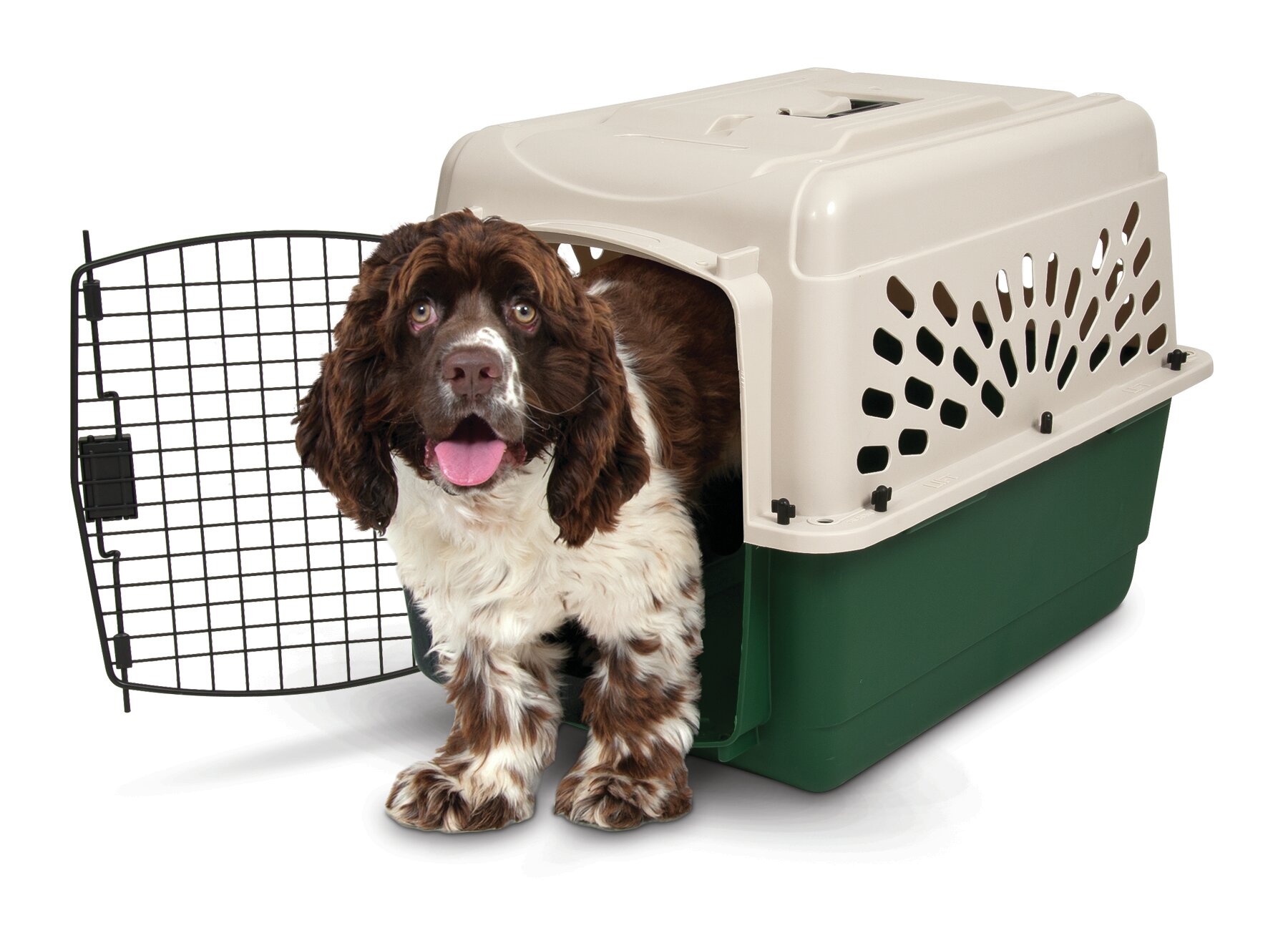 ruff maxx dog crate