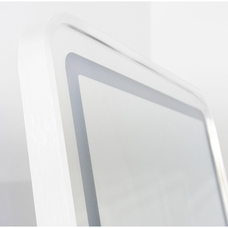 Deneane Metal Rectangle Mirror