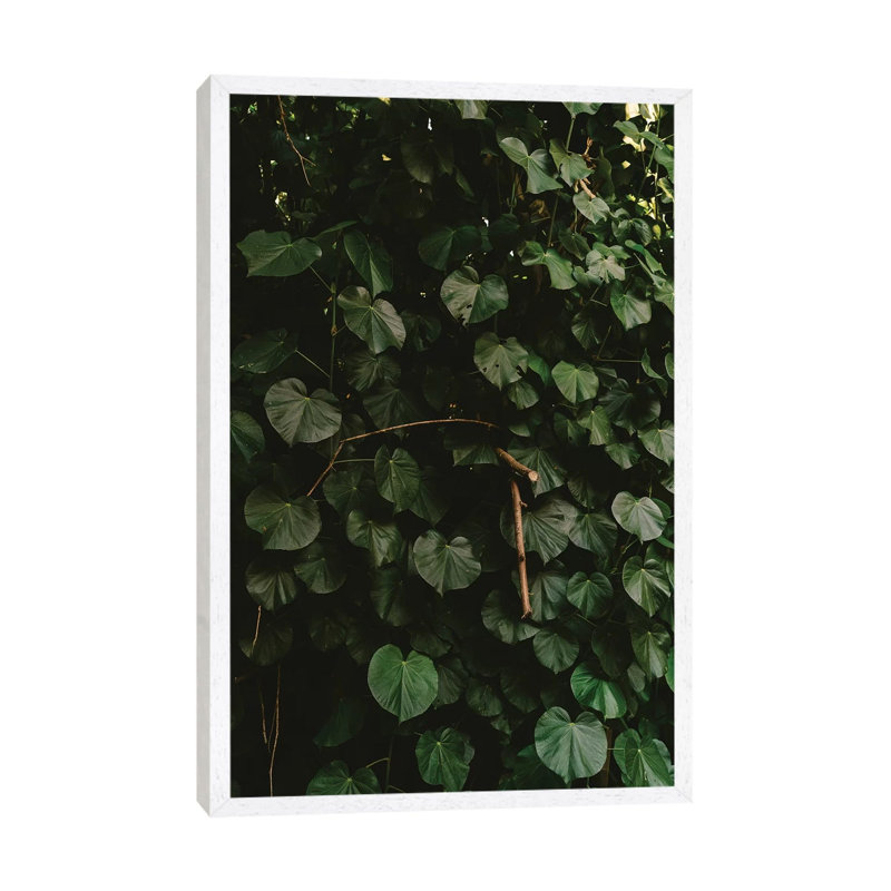 Tropical Hawaii III by Bethany Young - Print on Canvas, 66.04cm H x 45.72cm W x 3.81cm D, White Framed