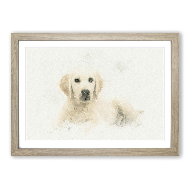 A Golden Retriever Puppy in Abstract - Picture Frame Graphic Art Print on MDF, 27cm H x 36cm W x 2cm D, Oak Framed