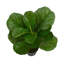Figuier artificiel 21,7 po en pot