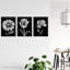 Elegant Single Tulip Daisy Rose Spring Flowers Black White - 3 Piece No Frame Print Set-1439143934