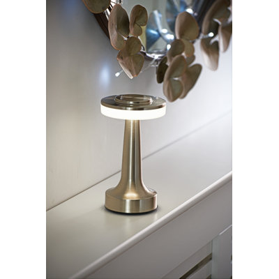 Metal Novelty Lamp