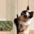 Multiple Level Cat Tree with Scratching Posts-730033170