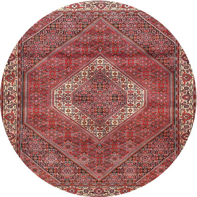 Oriental Indoor Rug