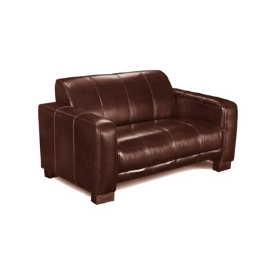 Modoc 2 Seater Loveseat