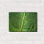 "Leaf Leaf" par Dennis Frates-1021642627