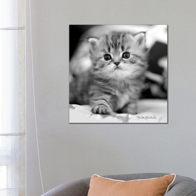 Mine by Keith Kimberlin - Print on Canvas
