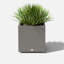 Block Series Cube Planter-86163301-86163299