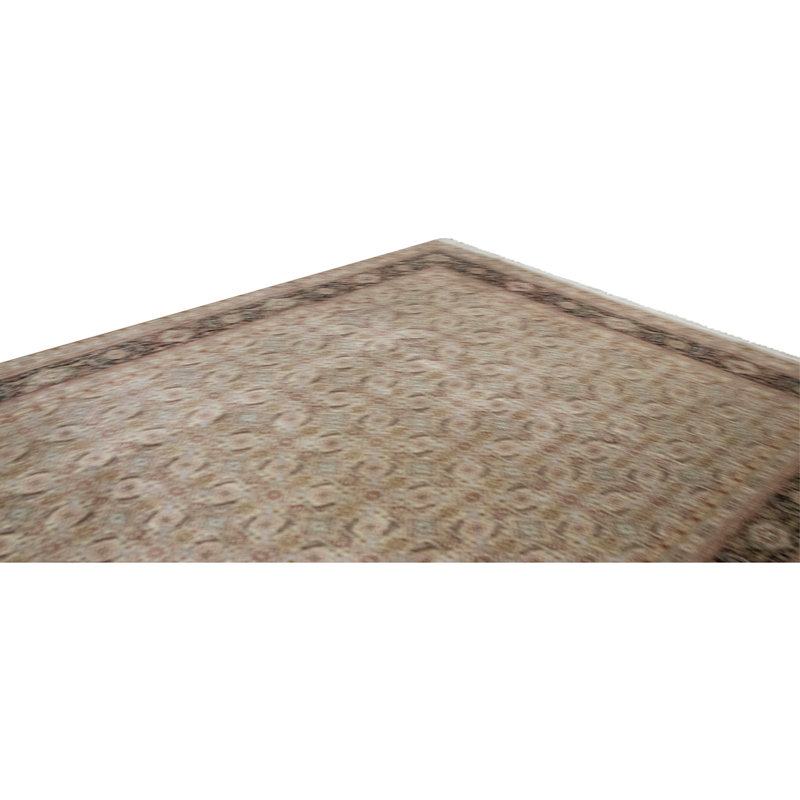 Hand Knotted Wool Oriental Area Rug in Beige And Black