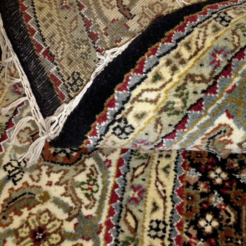 Kasonya Oriental Area Rug in Black