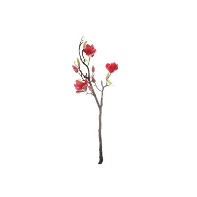 Magnolia grand jet rose