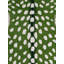Tapis asana tuffeté Fluorite-Green Tapis décoratif en laine et coton antidérapant | Tapis pour salon de chambre à coucher