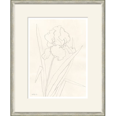 Bearded Iris Giclee Print by Susan Hable