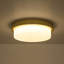 Brass LED Opal Glass Round Ceiling Light