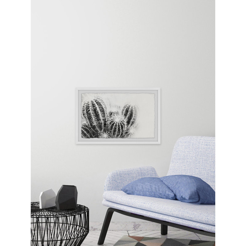Cactus Spines - Single Picture Frame Print, 30cm H x 46cm W x 4cm D