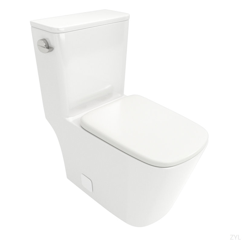 Toilette monobloc en céramique, avec chasse d'eau