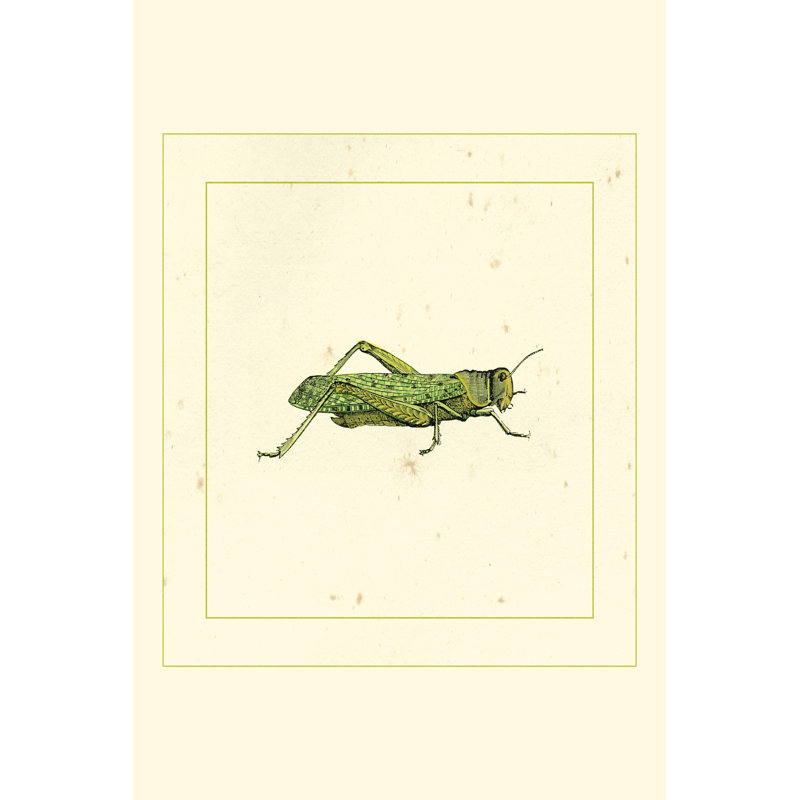 Hopper 1 Piece Wrapped Canvas Wall Art, 76cm H x 51cm W